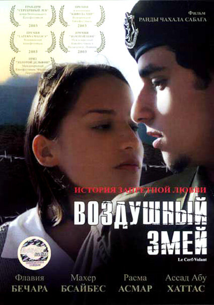 Воздушный змей (2003)