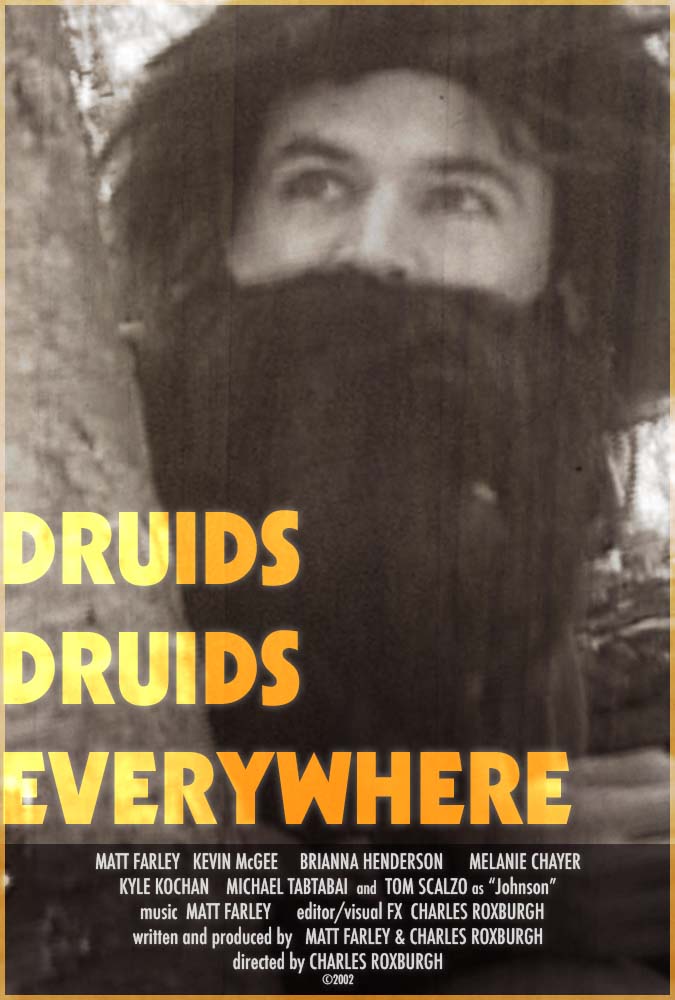 Druids Druids Everywhere (2020)