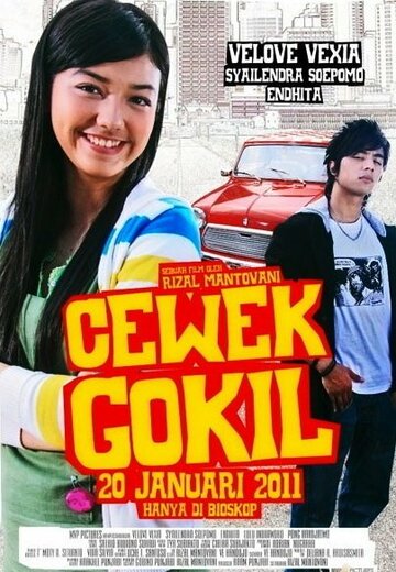 Cewek gokil (2011)